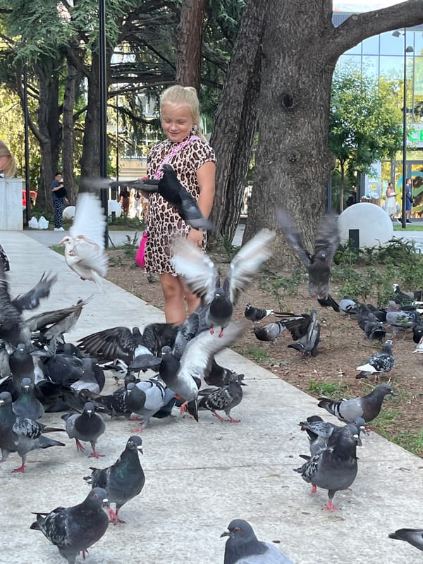 Feeding pigeons on a city walkway