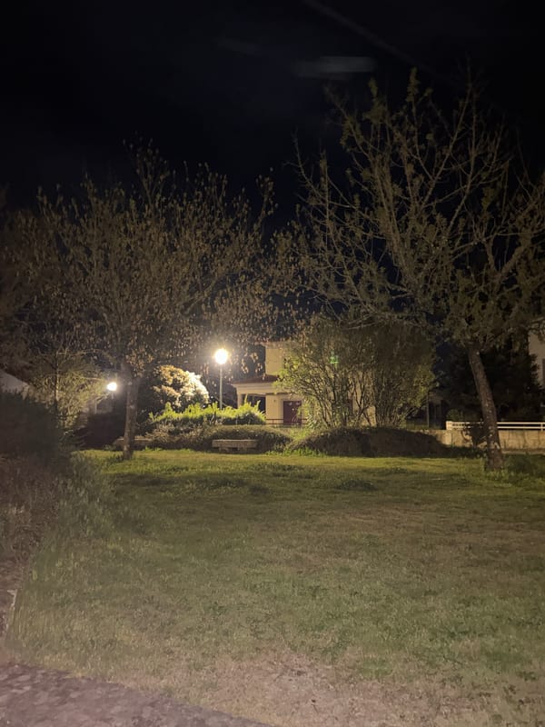 Evening documentation in Vila Real includes selfies and street scenes