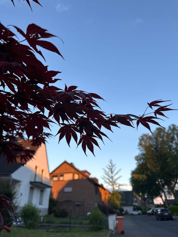 Daily life moments documented across Krefeld, Germany evening hours
