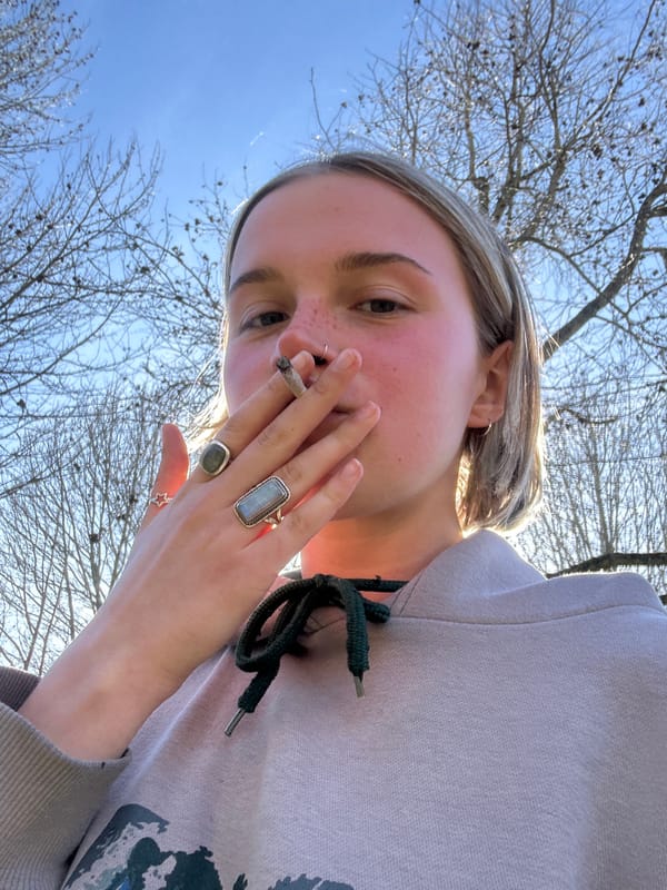 Cherry blossoms observed in Vancouver residential area