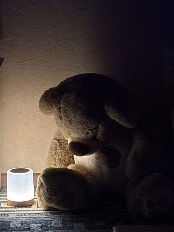 Cozy interior scene with teddy bear captured in Votkinsk
