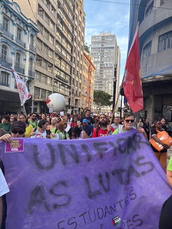 São Paulo protesters march against education privatization