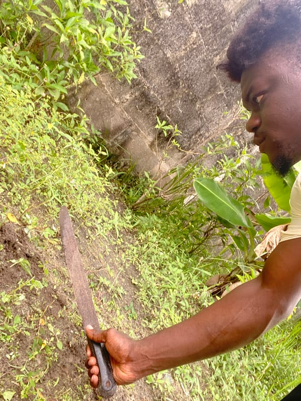 Man clears vegetation with machete in overgrown yard area
