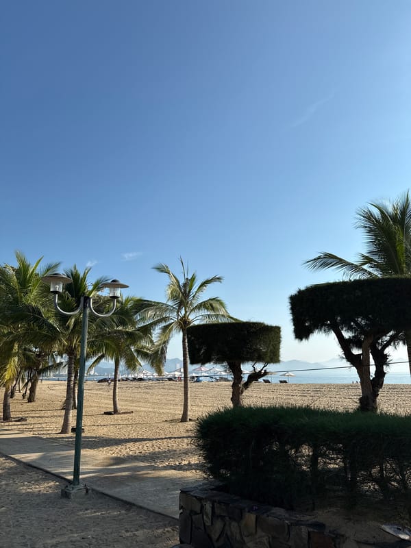 Quiet morning along Nha Trang's palm-lined beachfront promenade