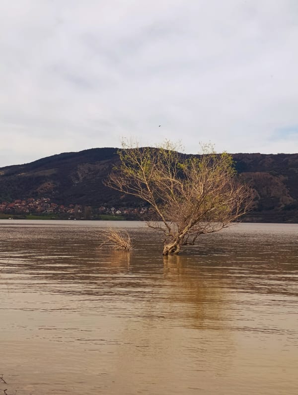 Spring flooding and rural life documented in Shiroko pole