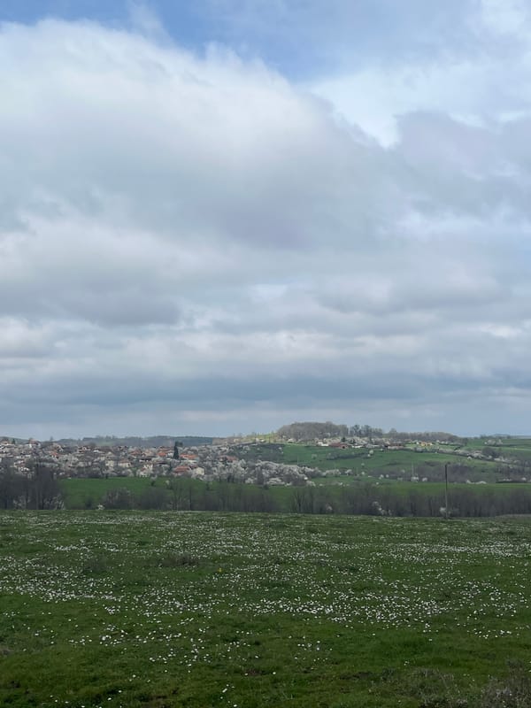Spring morning scenes captured in Varshilo, Bulgaria