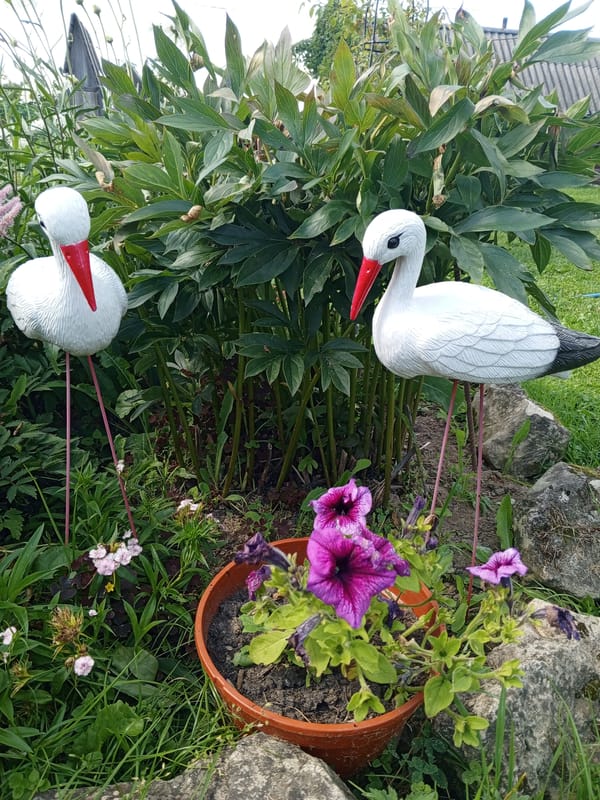 Summer garden in full bloom, flowers and ornaments up close