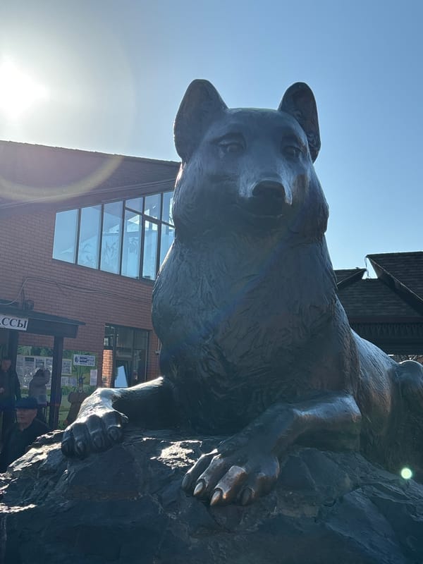 Bronze bear statue spotted on stone in Izhevsk