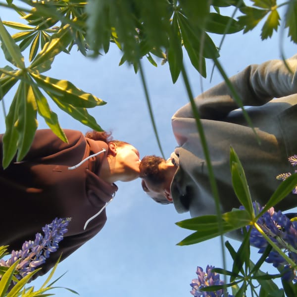 Couple photographed kissing outdoors amid green foliage