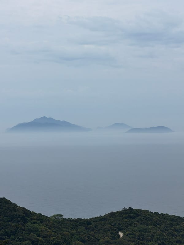 Motorcyclist stops for selfie on misty Sơn Trà Peninsula overlook