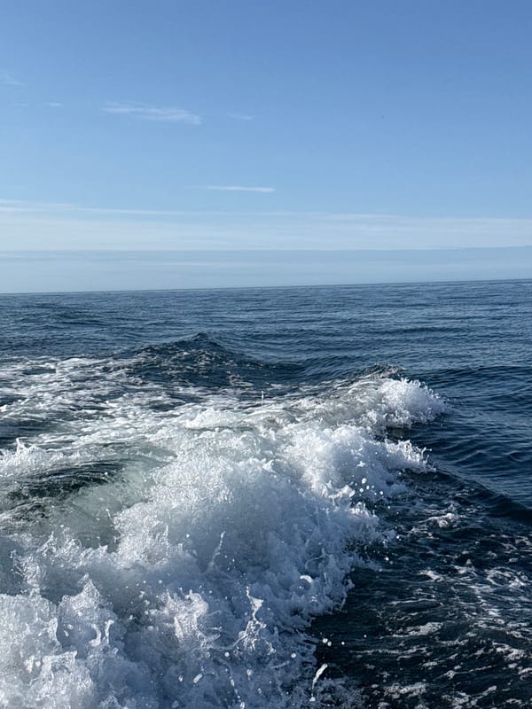 Choppy wake and white foam on Arctic waters near Teriberka