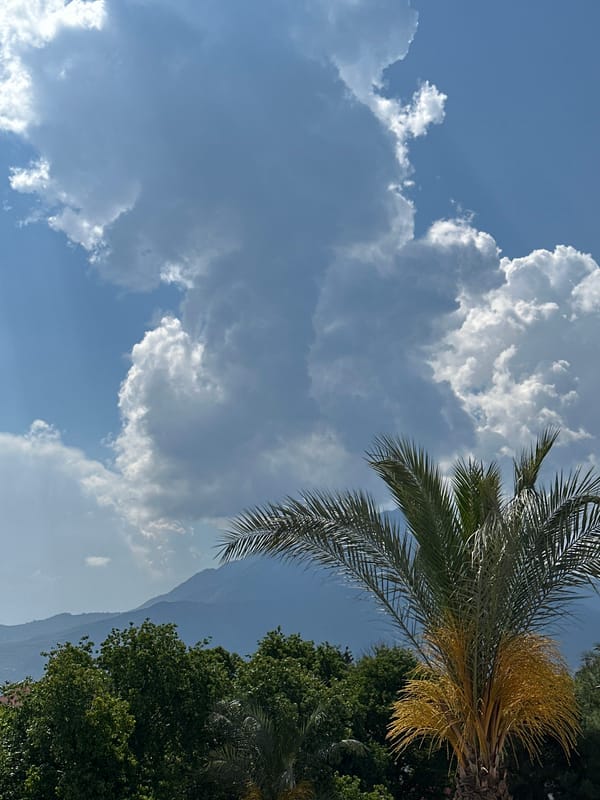 Morning life documented in Fethiye: streets, food, residents