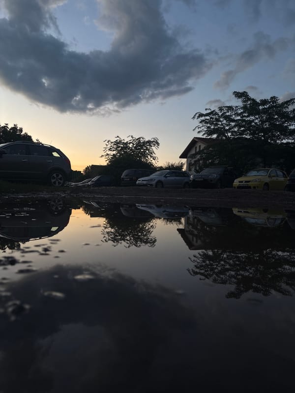 Sofia evening: parking lots, pets, and elevator selfies