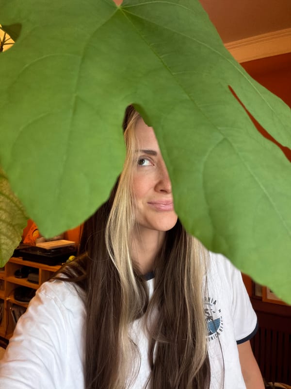 Leafy peek-a-boo and cat ears on a rug