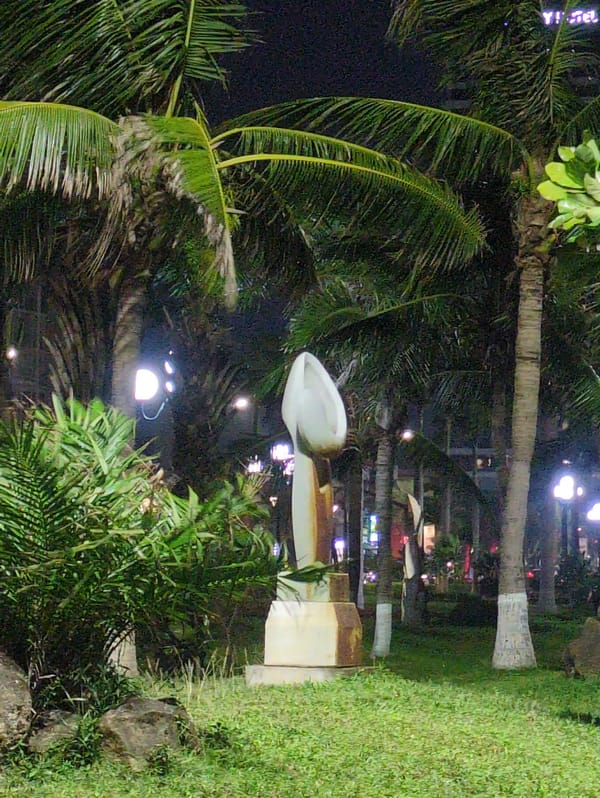 Nighttime scenes documented across Quy Nhon Ward, Vietnam