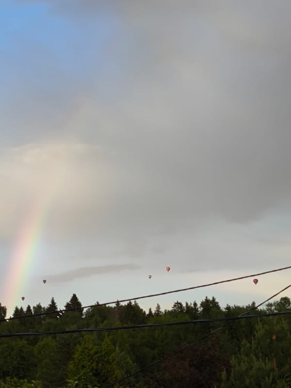 Rainbows and hot air balloons over a rural landscape