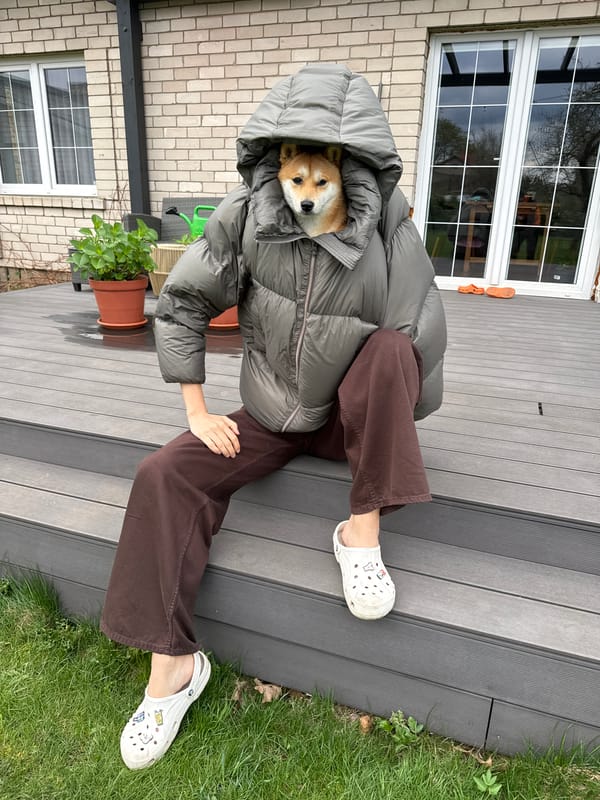 Person gardens with dog companion in Carnikava, Latvia