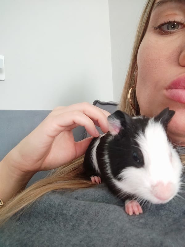 Woman documents morning routine with pets in Votkinsk home
