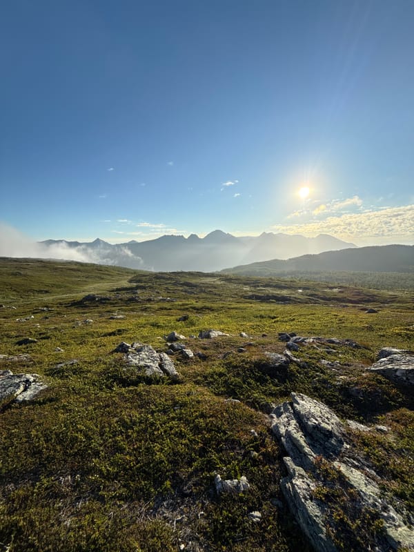 Harstad heathland and mountain landscape on a clear July morning