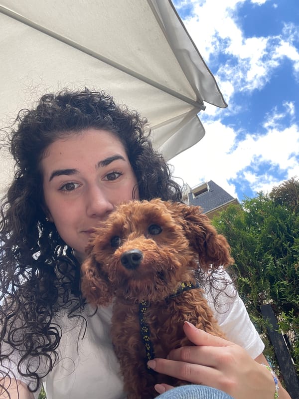 Woman documents morning dog walk through Sofia parks and streets