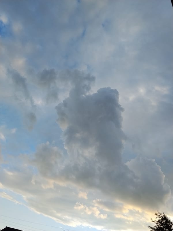 Summer afternoon in a Ukrainian village garden, skies and nature