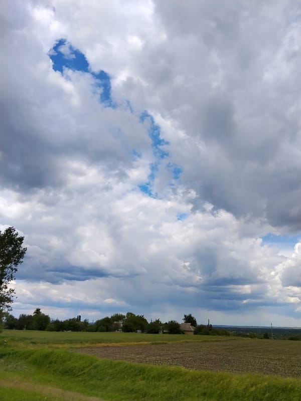 Rural Ustyvytsia landscapes and wildflowers documented during summer afternoon