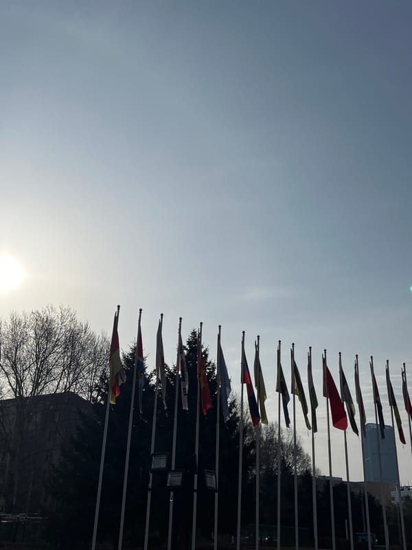 Urban documentation captured across Changchun City buildings and spaces