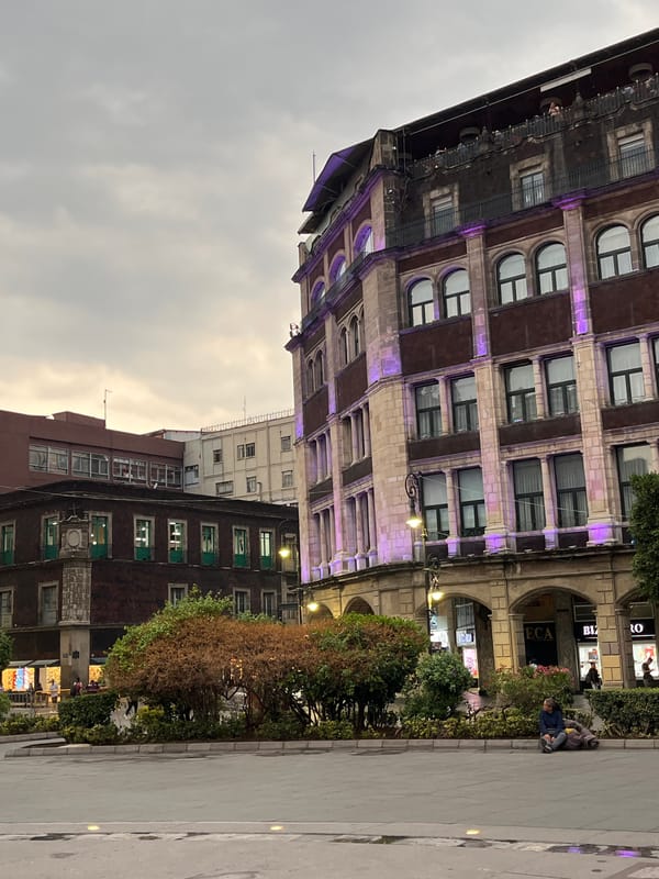 Late-night scenes around Mexico City's cathedral square captured