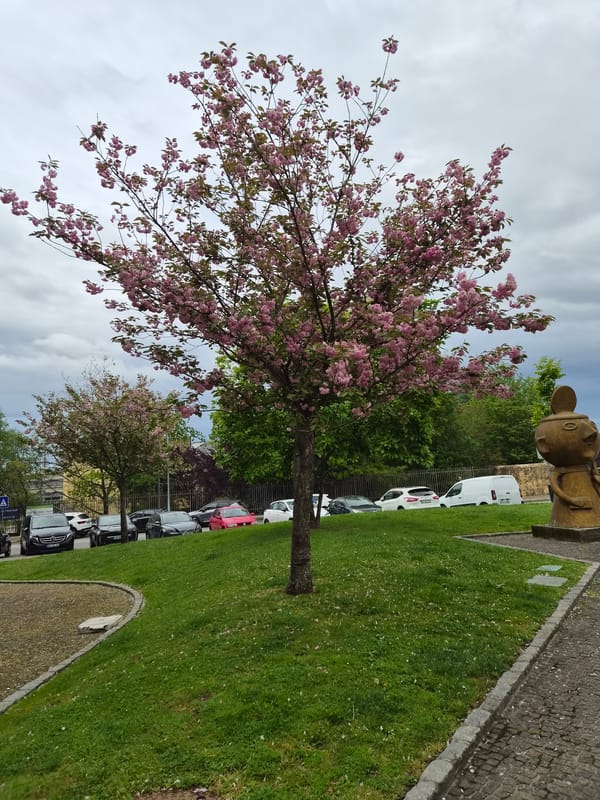 Spring day scenes captured across Barcelos, Portugal