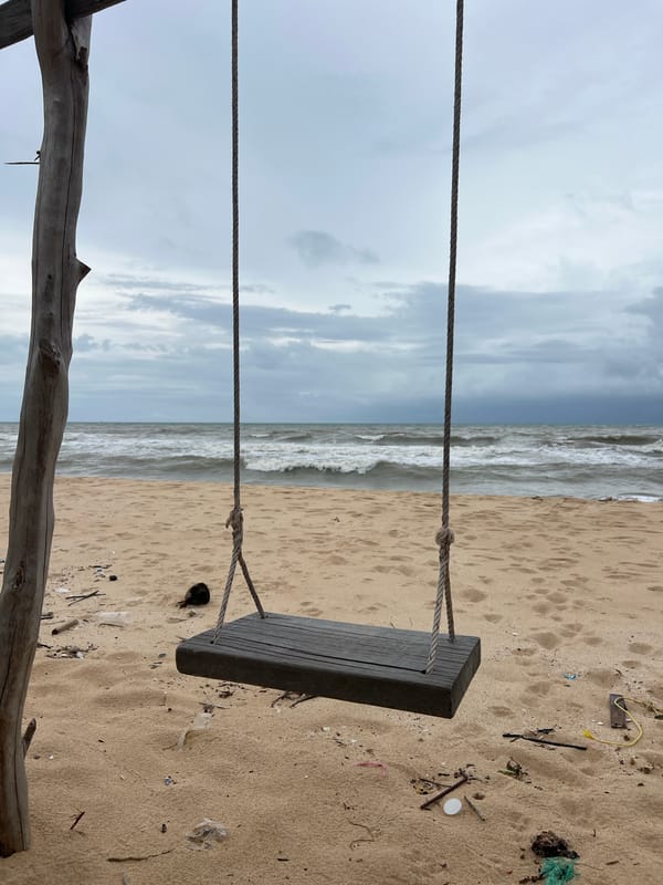 Rope swing and coconut palms on a Phú Quốc beach