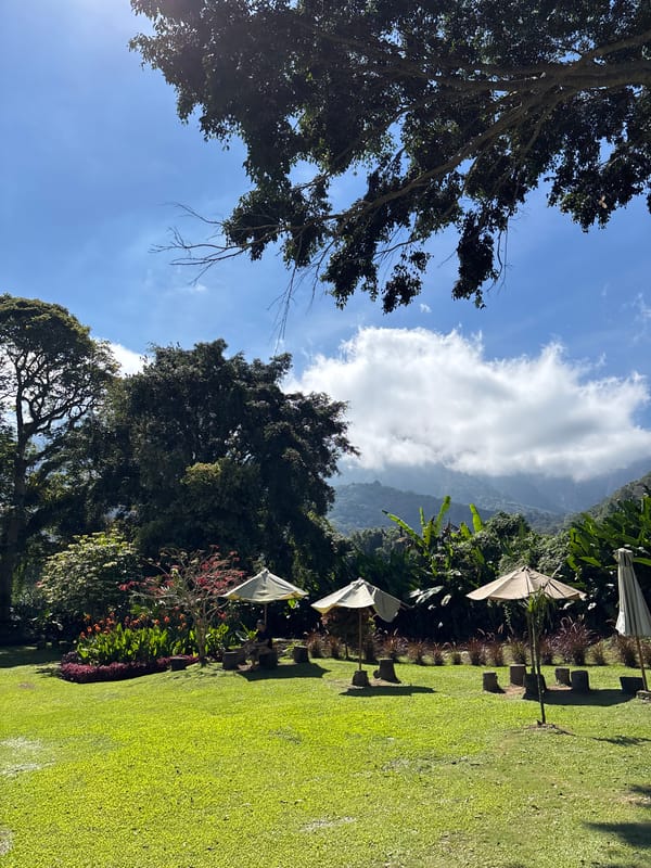 Green landscape documented in Sukasada, Indonesia