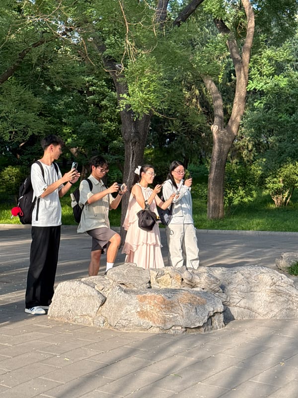 Morning at a historic Beijing lakeside park