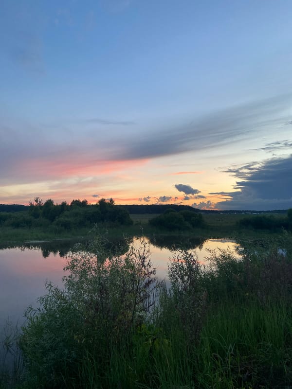 Dusk along a calm river near Yusupovo, ducks and all.