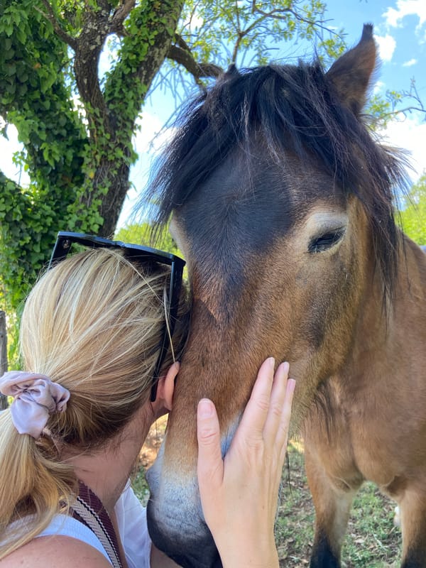 Woman bonds with horse in Montenegro countryside