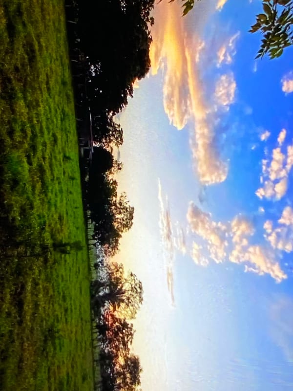 Sunset over open pastures and dirt roads near Tinaquillo, Venezuela
