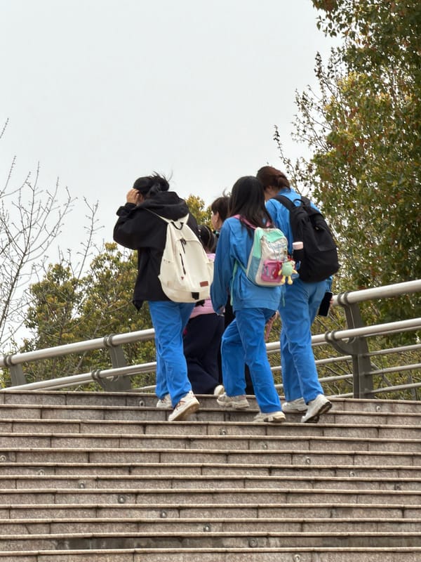 University campus life captured across Jiangning District plaza areas