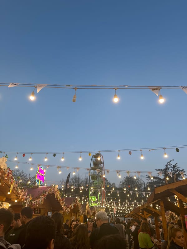 Evening fair with Ferris wheel, food vendors in Sofia