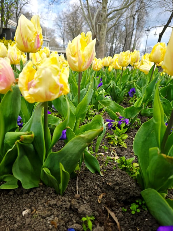 Spring morning documented through cafes and gardens in Varna