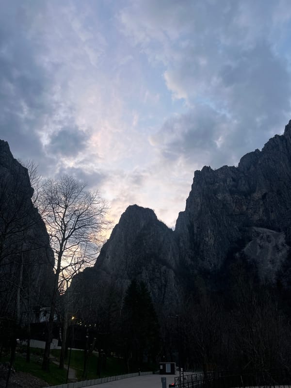 German Shepherd photographed at Vratsa Gorge during twilight