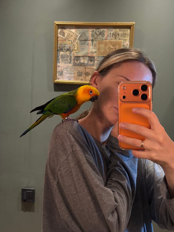 Mirror selfie captured with orange smartphone in Khimki, Russia