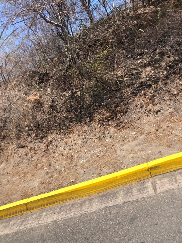Yellow curb boundary documented in Venezuelan roadside scene