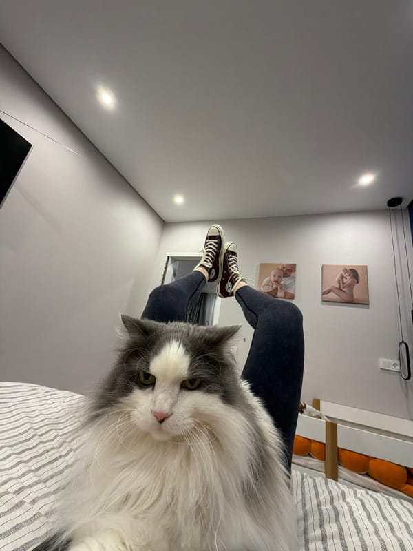 Casual afternoon photo session with cat in Chaikovsky home