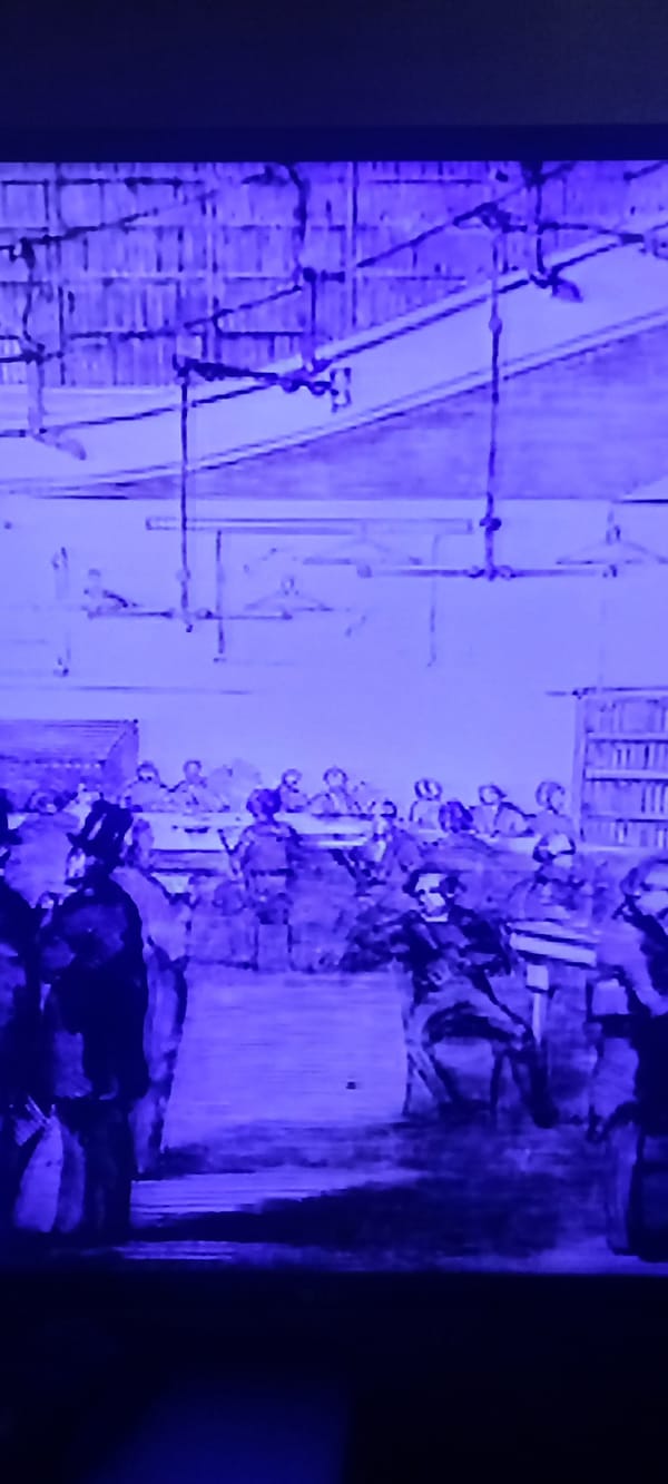 Purple-tinted snapshots: hyraxes, halls, and a construction site