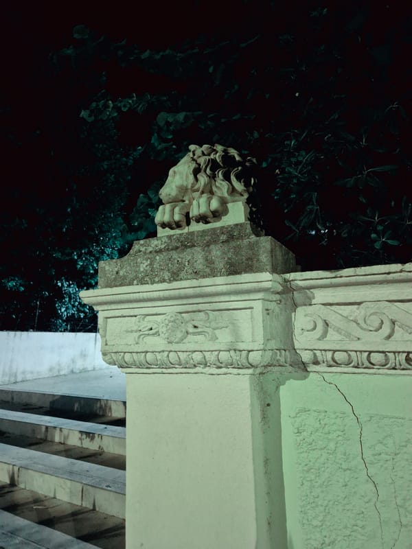 Night scenes from Taranto: stone lions, shadows, and a black cat
