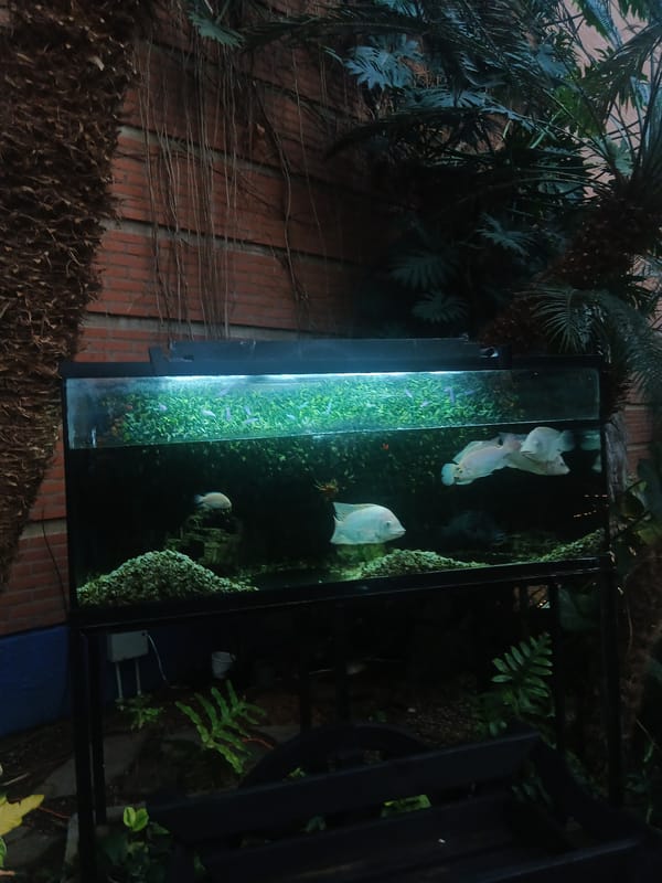 Evening shopping center life documented in Pampatar, Venezuela