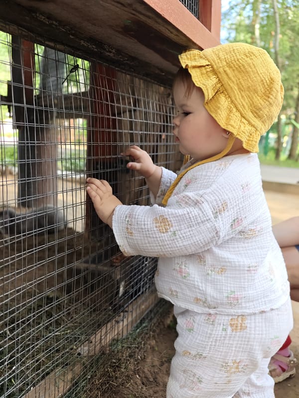 Sunny morning at a Chaikovsky park with animals and playground fun