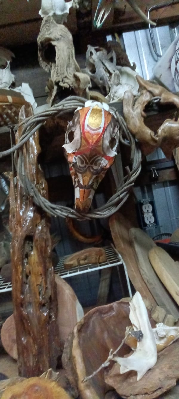 Tahlequah workshop filled with animal skulls and natural crafting materials