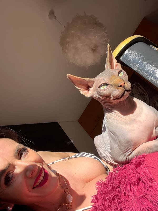 Woman and Sphynx cat photographed together in Konz, Germany