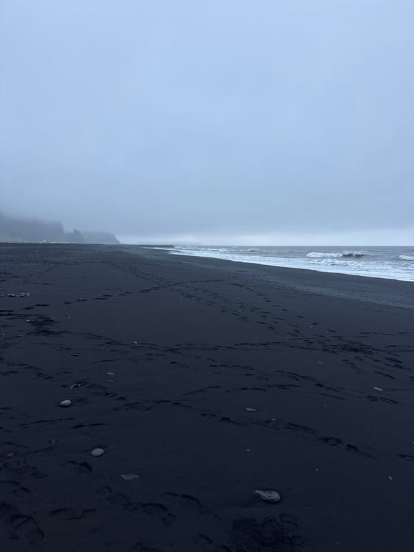 Visitor documents dramatic Reynisfjara black beach during overcast evening