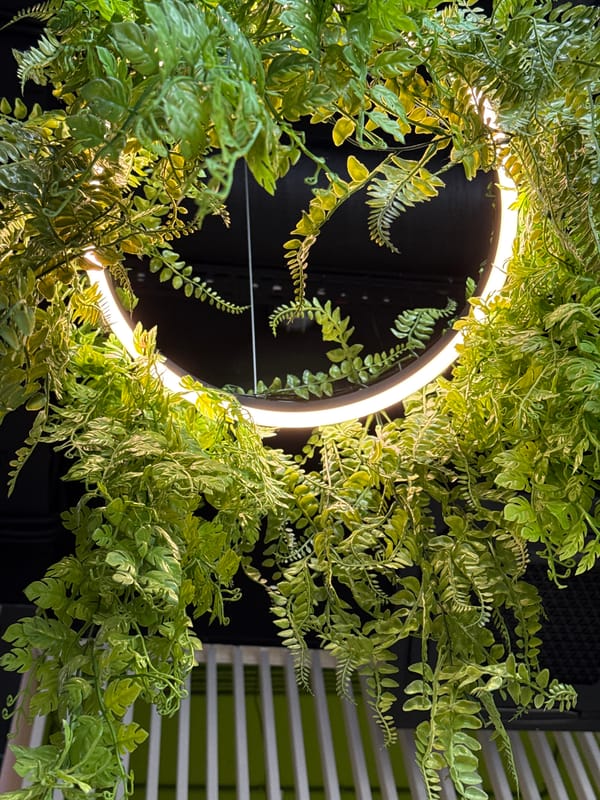 Illuminated greenery displays documented in Lyubertsy, Russia